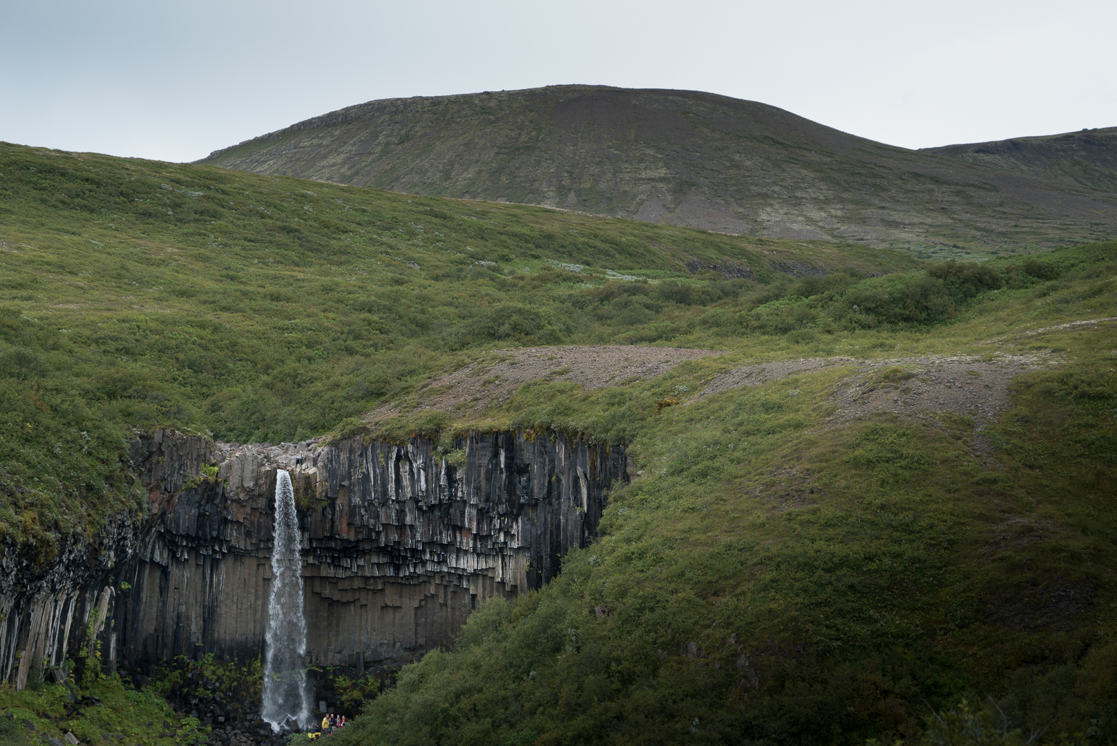 Svartifoss road trip Islande