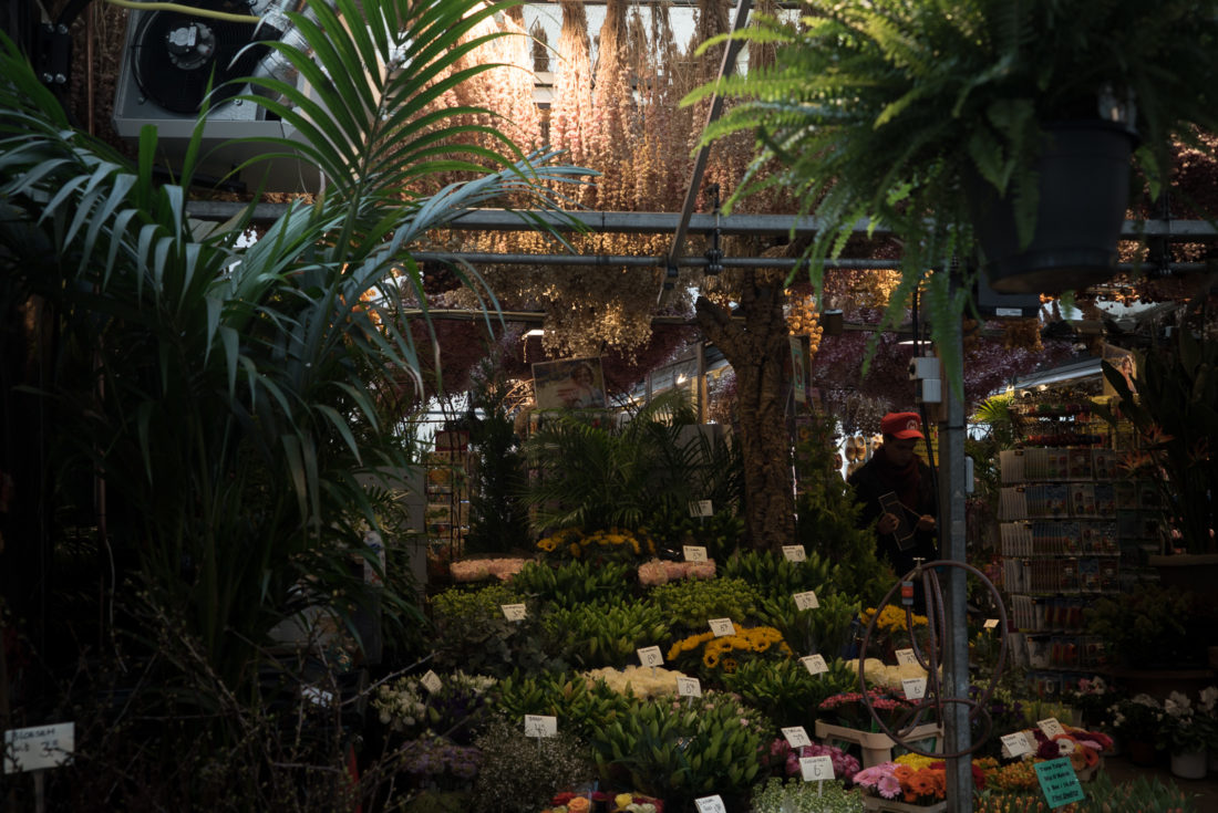 Marché aux fleurs Amsterdam