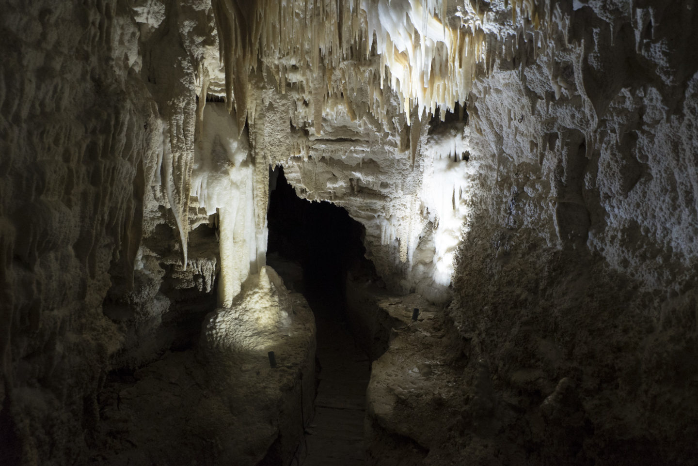 Aranui Cave 