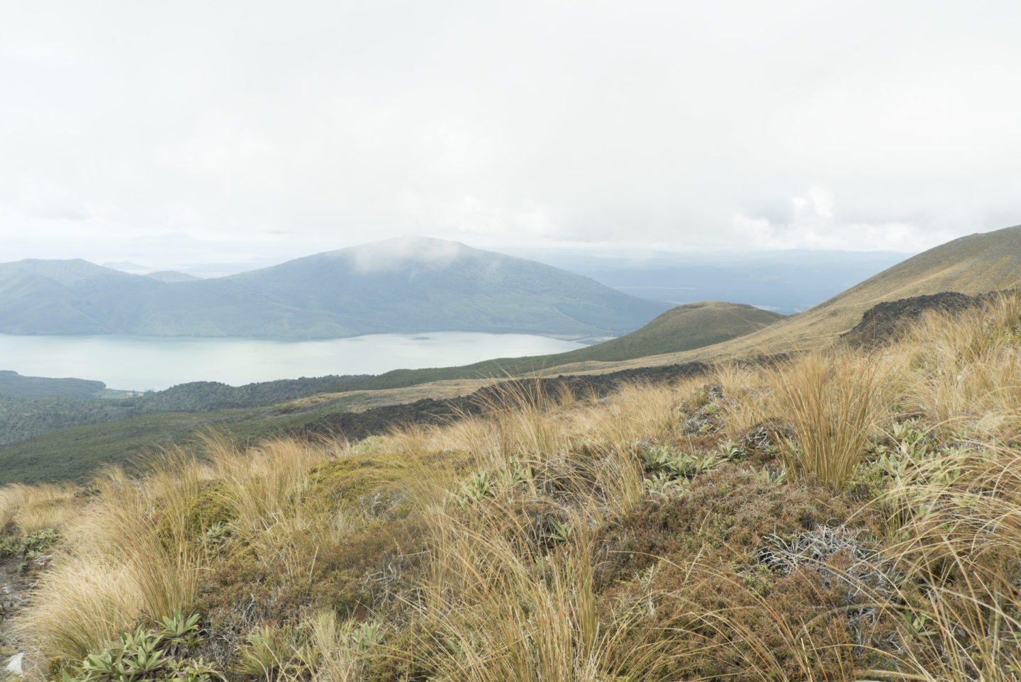 Tongariro Alpine Crossing