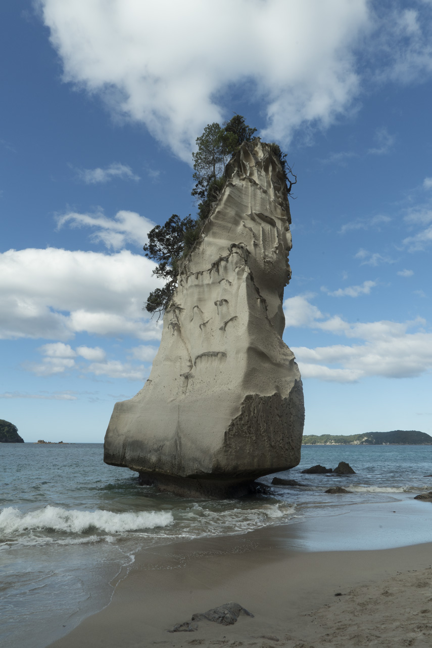 Coromandel