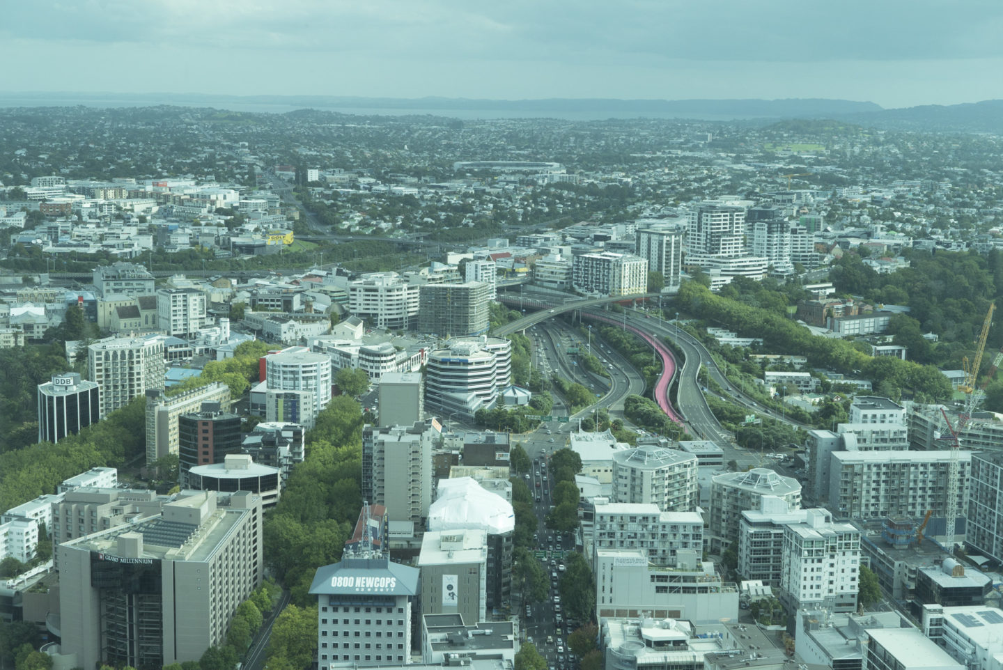 Auckland itinéraire 4 jours région auckland