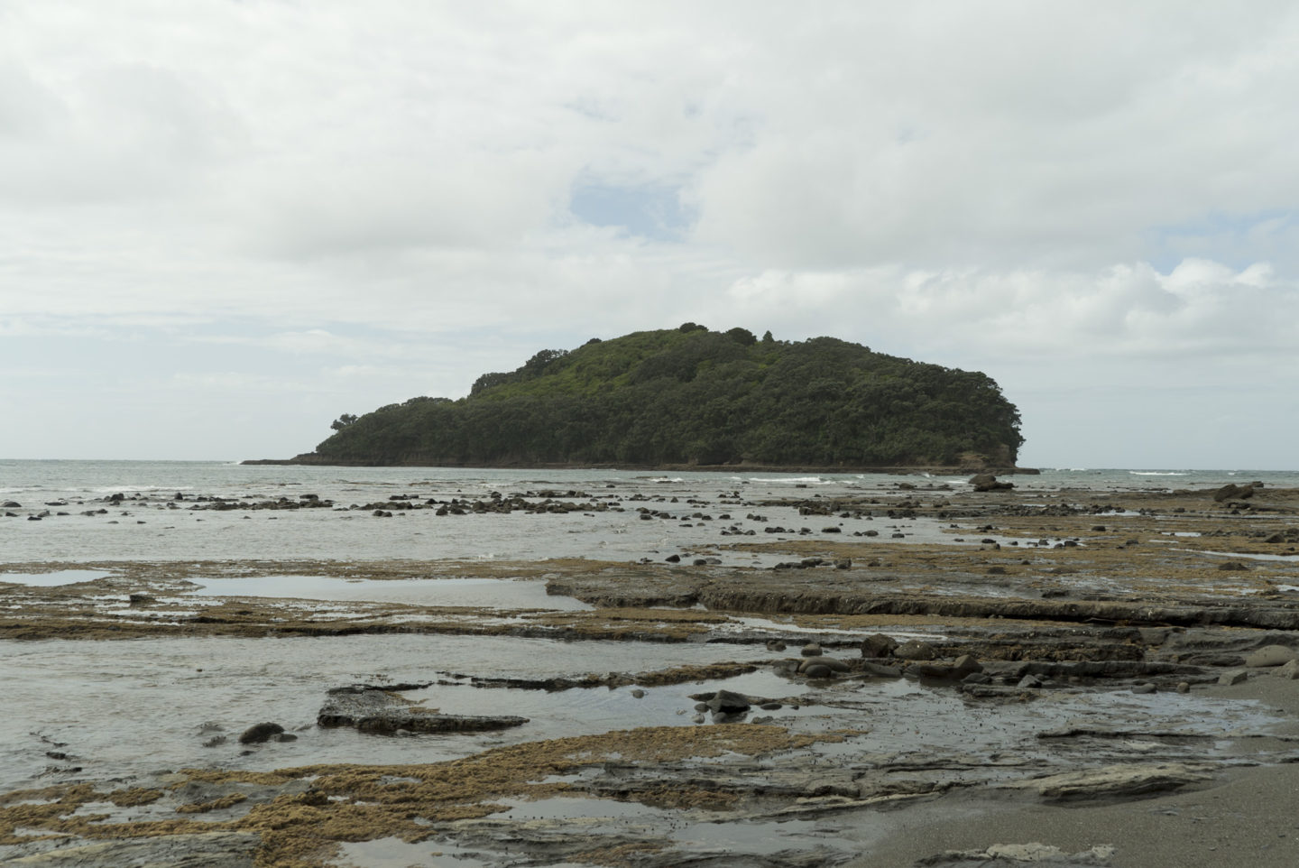 Goat Island itinéraire 4 jours région Auckland