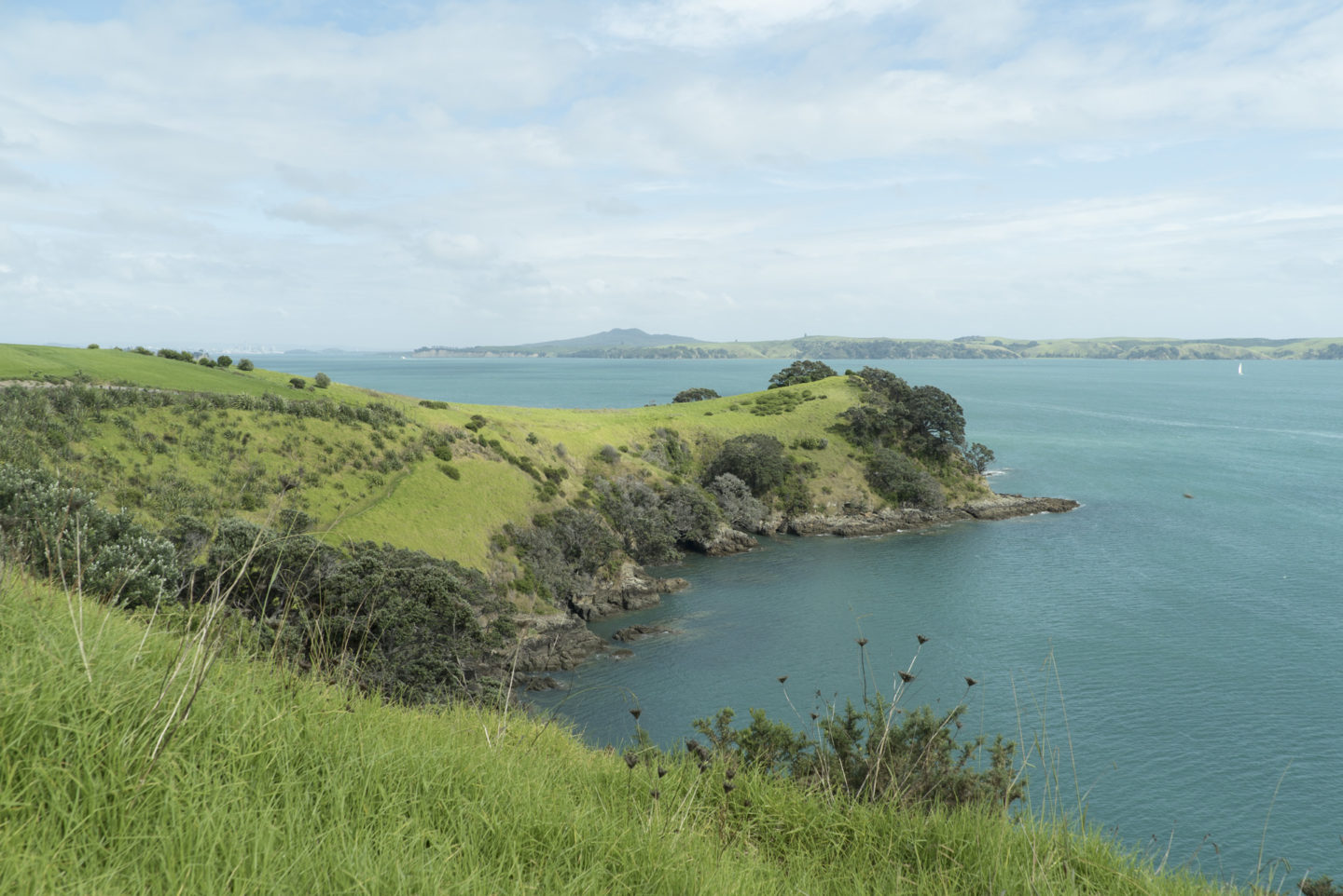 Waiheke Island itinéraire 4 jours région Auckland