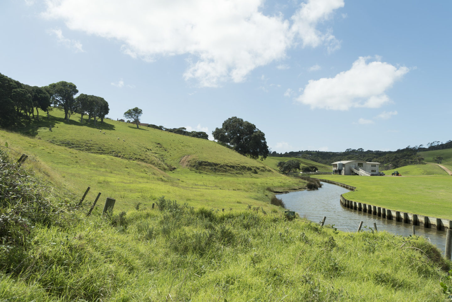 Itinéraire de 4 jours dans la région d’Auckland