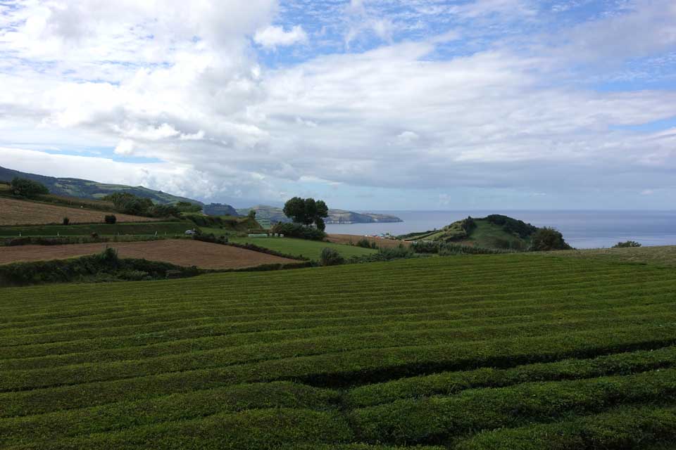 Programme pour une semaine aux Açores (Sao Miguel) Maia