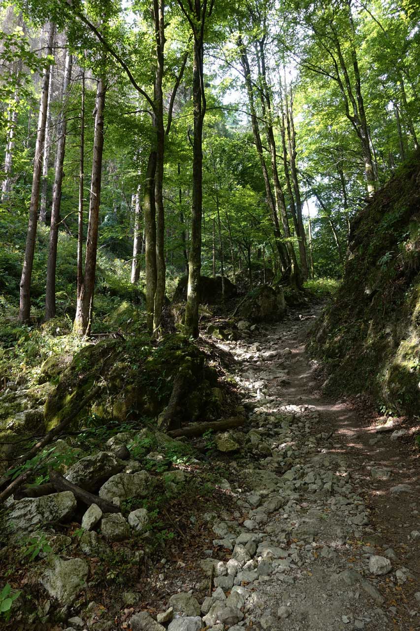 Gorges de Pokljuka