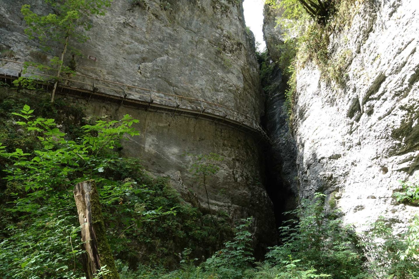 Gorges de Pokljuka