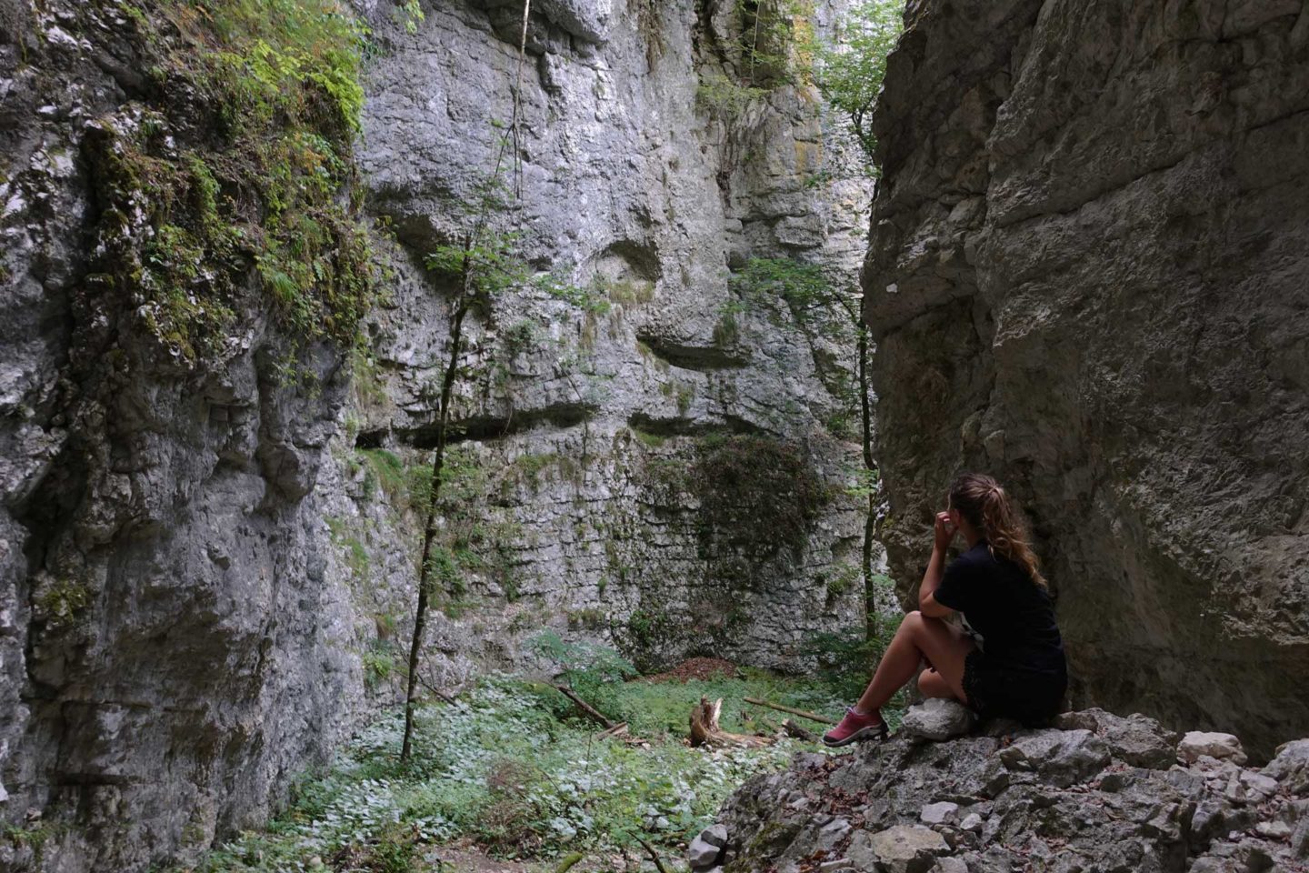 Gorges de Pokljuka