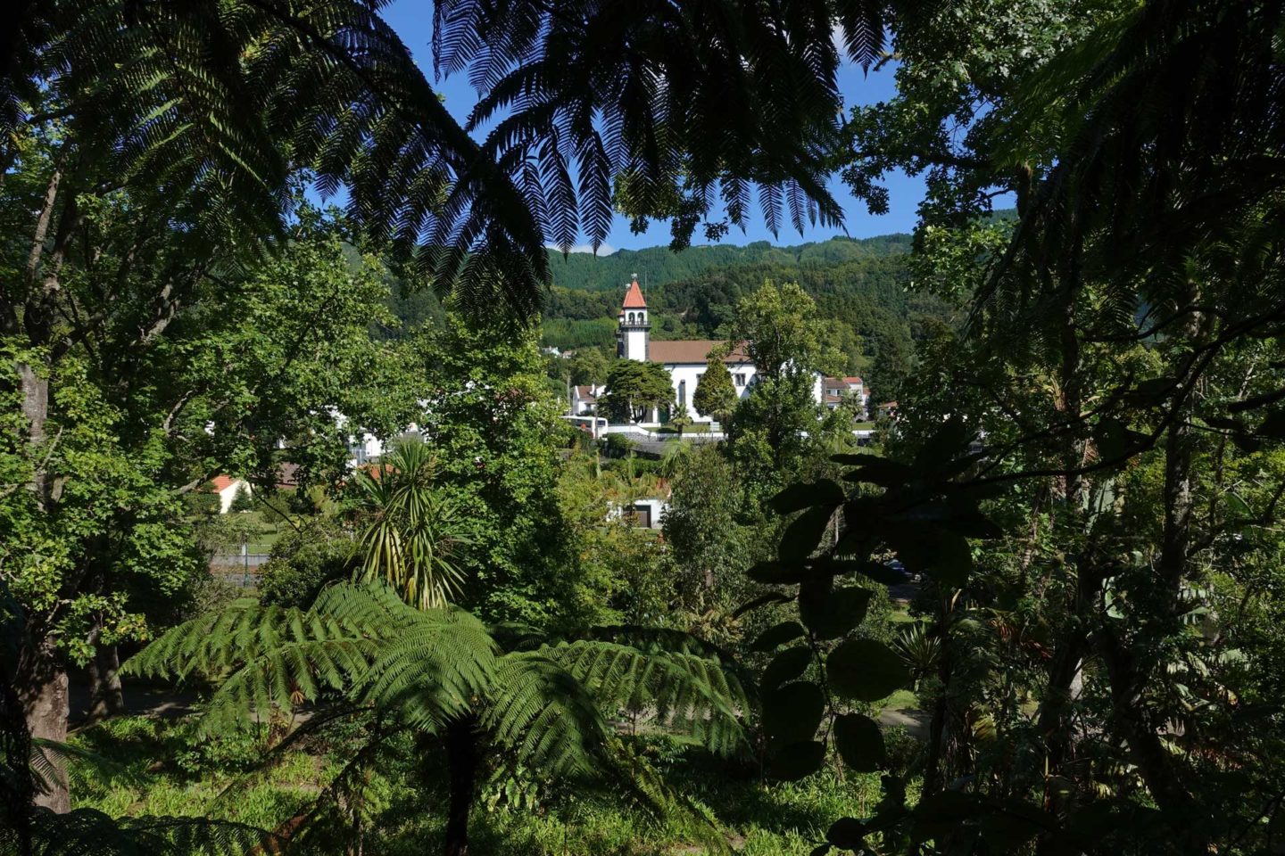 Furnas Sao Miguel Açores