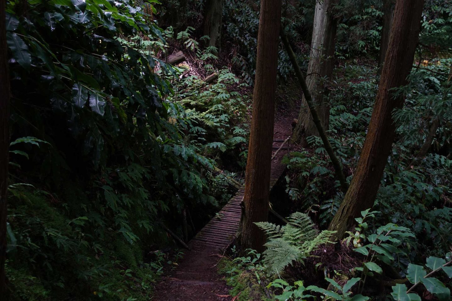 Salto do Prego et Salto do Cagarrao