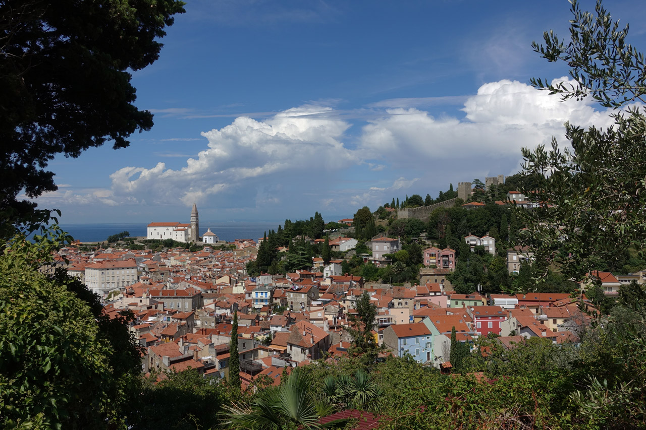 Point de vue Piran