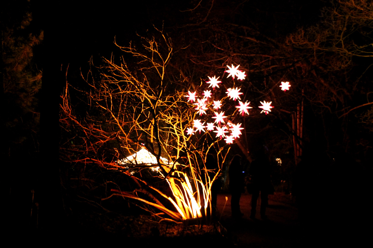 Berlin Jardin Botanique