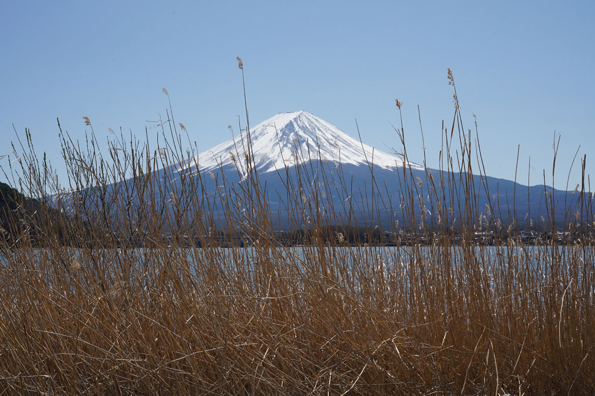 meilleure vue Mont Fuji Kawaguchi région des 5 lacs