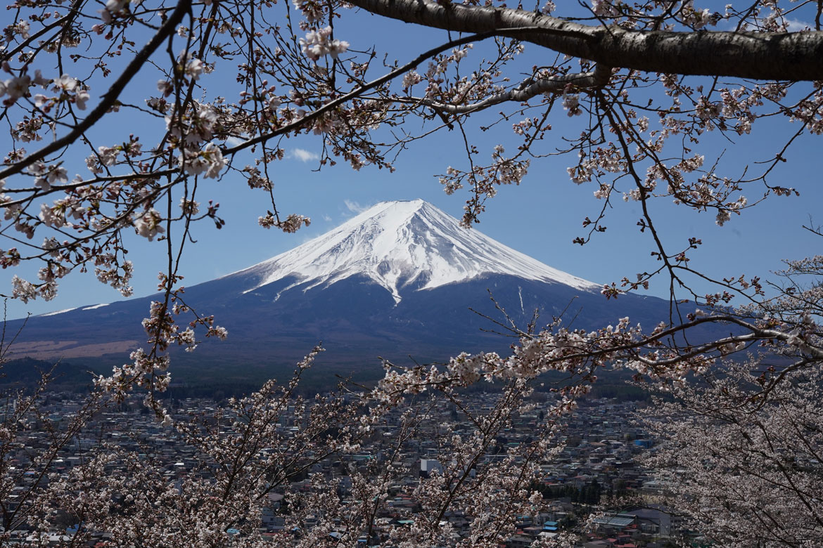 Itinéraire pour 3 mois au Japon : Honshu, Okinawa et Shikoku