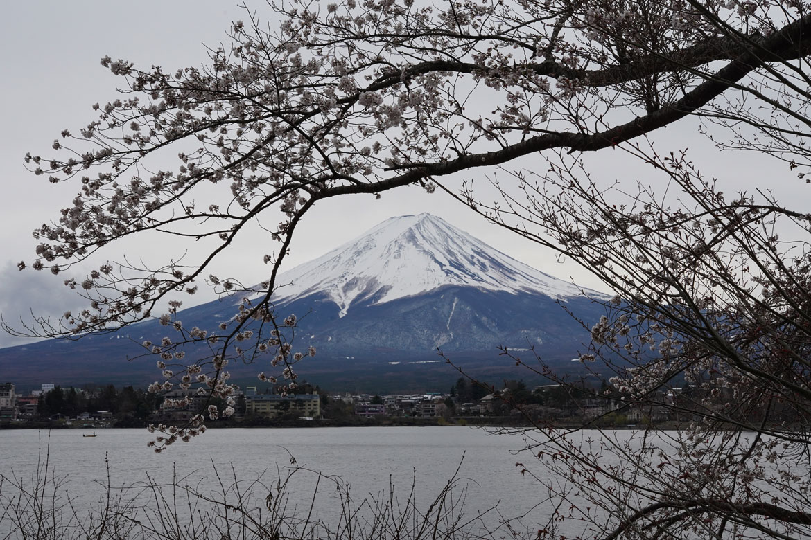 meilleure vue Mont Fuji Kawaguchi région des 5 lacs