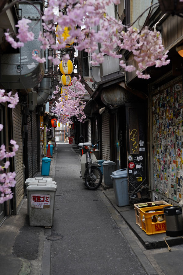 Shinjuku Omoide Yokocho Tokyo que faire