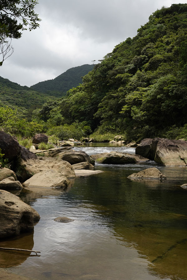 Urauchi River trekking jungle Iriomote