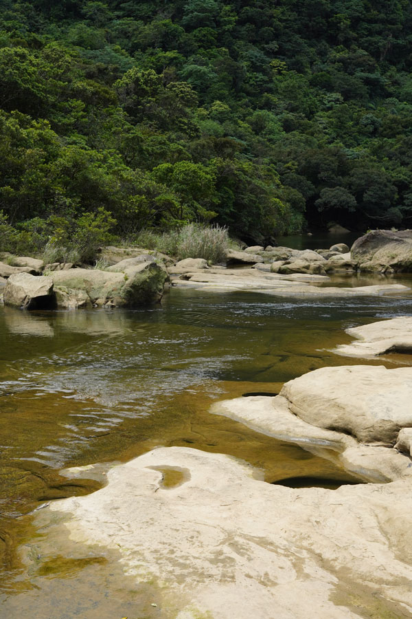 Urauchi River trekking jungle Iriomote