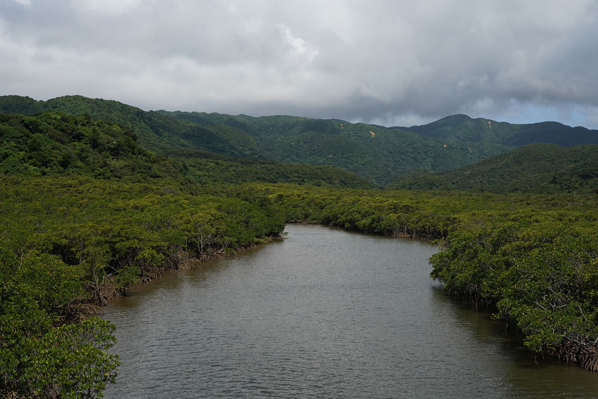 Nakama River