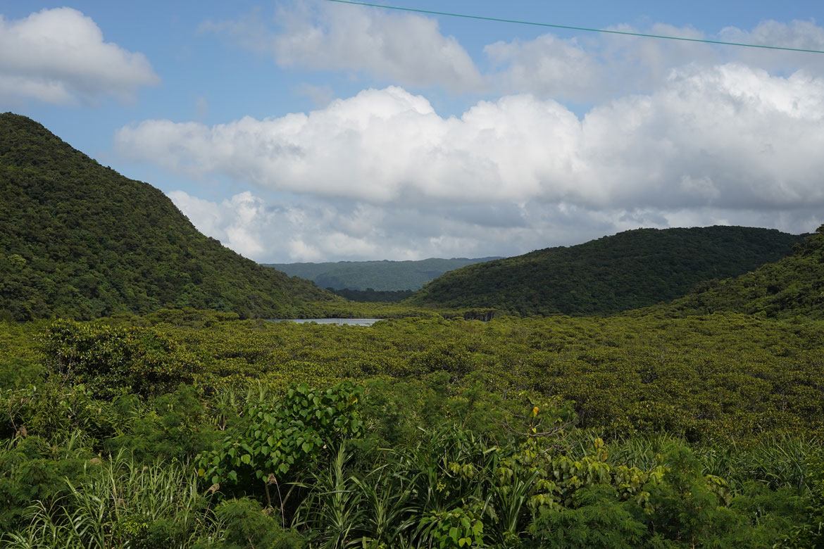 vue sur Iriomote Okinawa