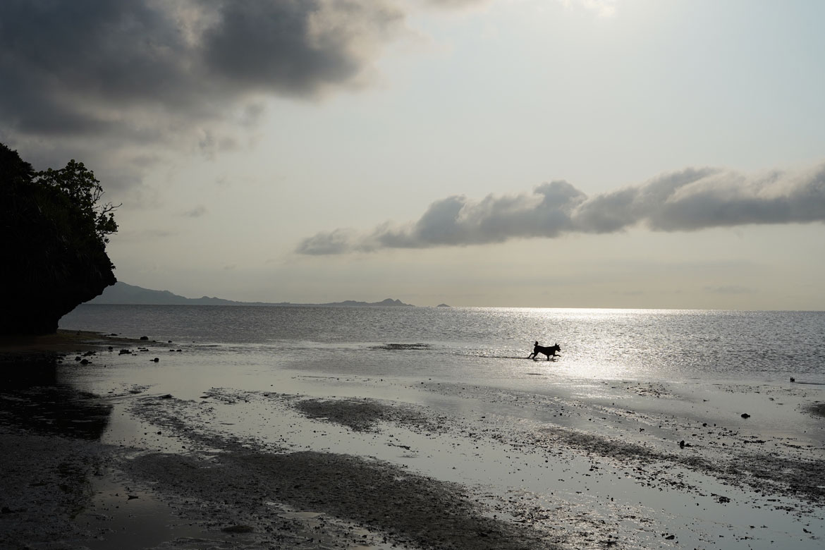 Ishigaki en une semaine : le paradis à Okinawa