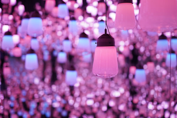 salle des lumières teamborderless