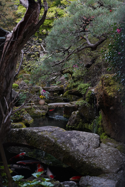 Kyoto paysages