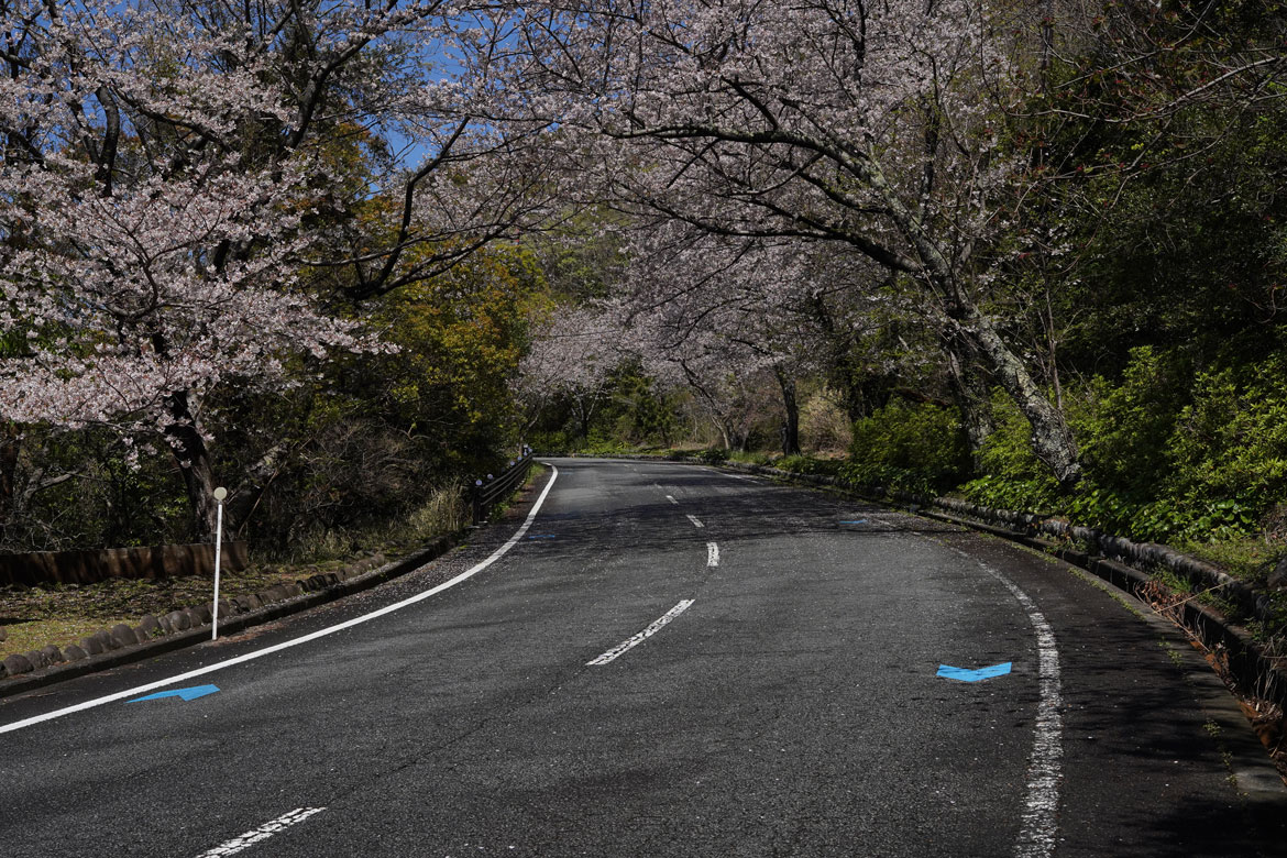 La péninsule d’Izu : le Japon hors des sentiers battus