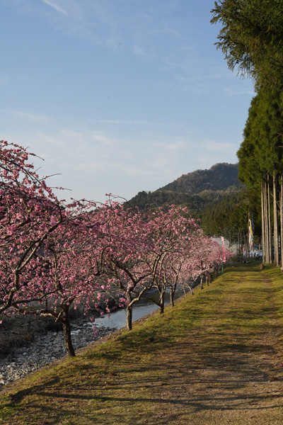 Château de Takane Shizuoka