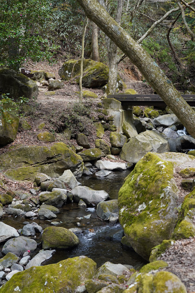 Hakone Cascades de Chisuji-no-taki