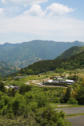 Ananai rice Tanada View Spot