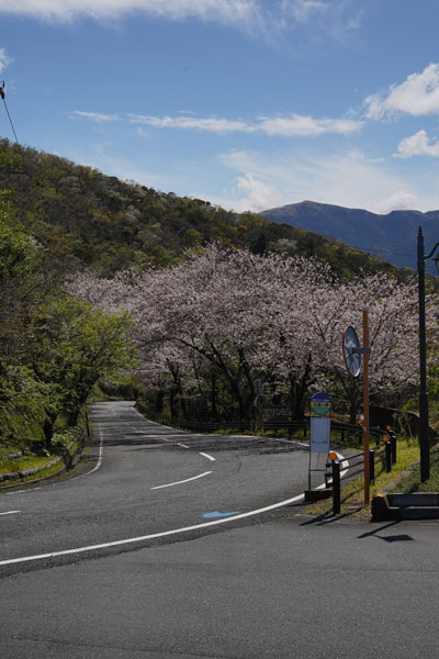 road trip japon