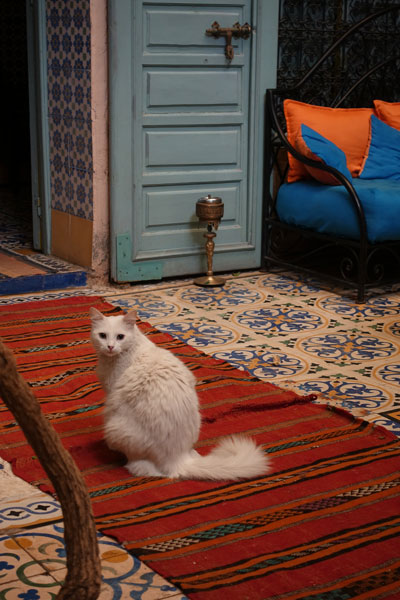 Riad Al Nour Marrakech