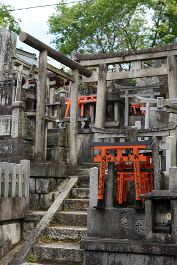 torii kyoto