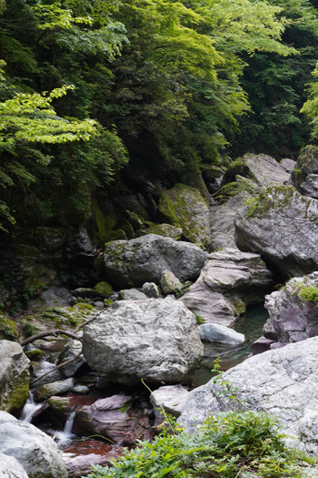 Gorge Nakatsu Shikoku Kochi