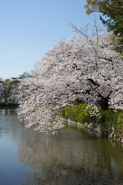 préfecture Aichi Nagoya