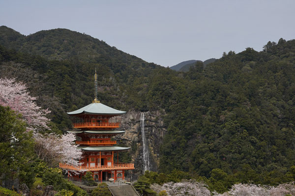 Nachikatsura préfecture wakayama