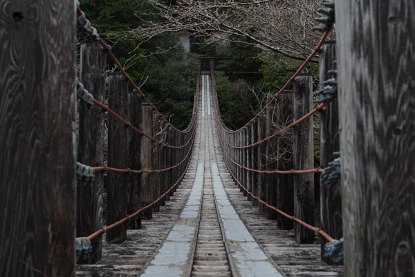 préfecture de Wakayama que faire