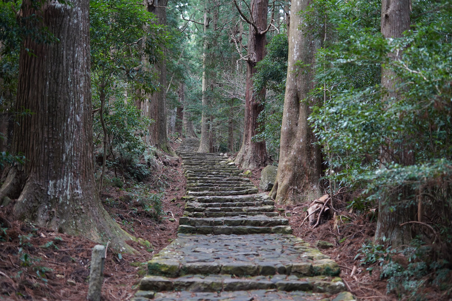 Préfecture de Wakayama : que faire ? de Yunomine Onsen à Nachikatsuura