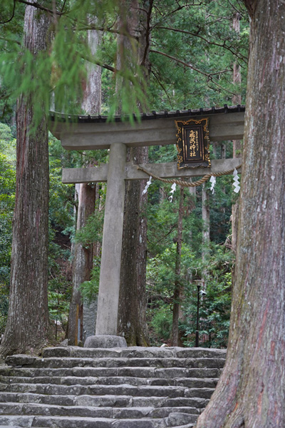Nachikatsuura Nachi torii