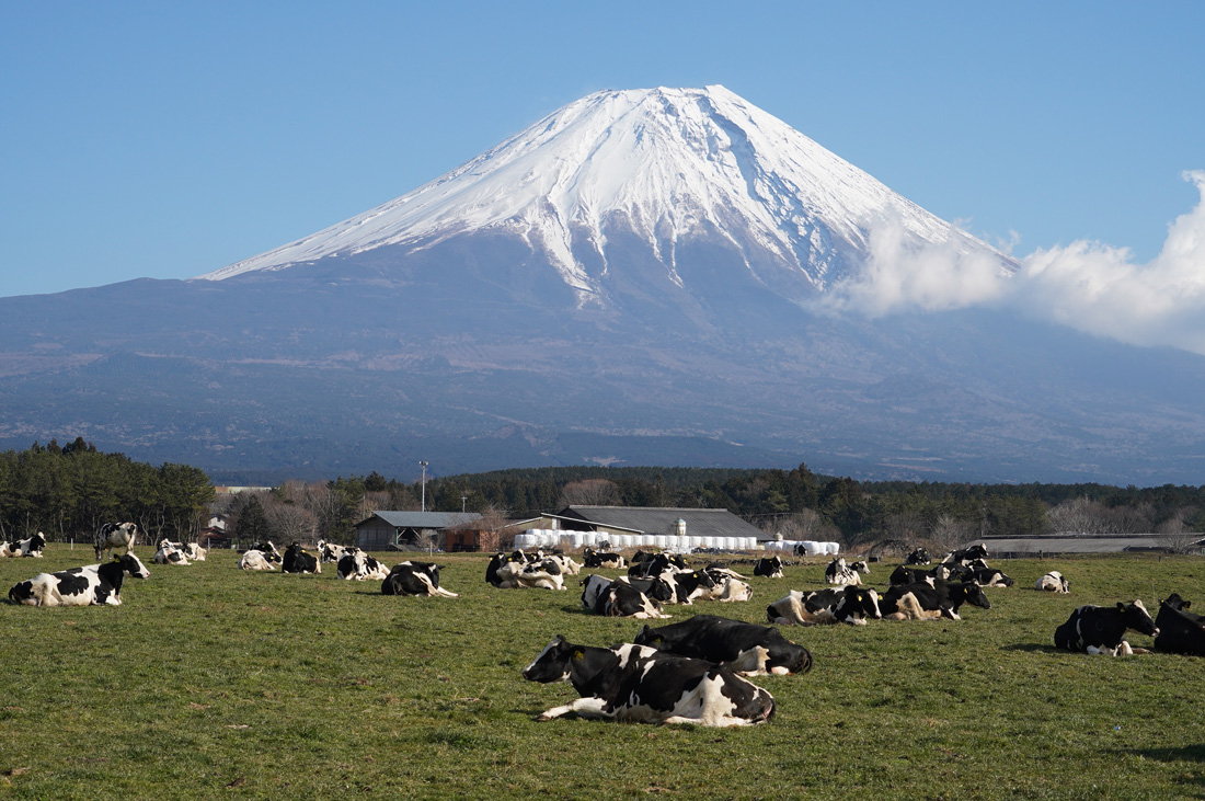 plateau asagiri Shizuoka Fuji