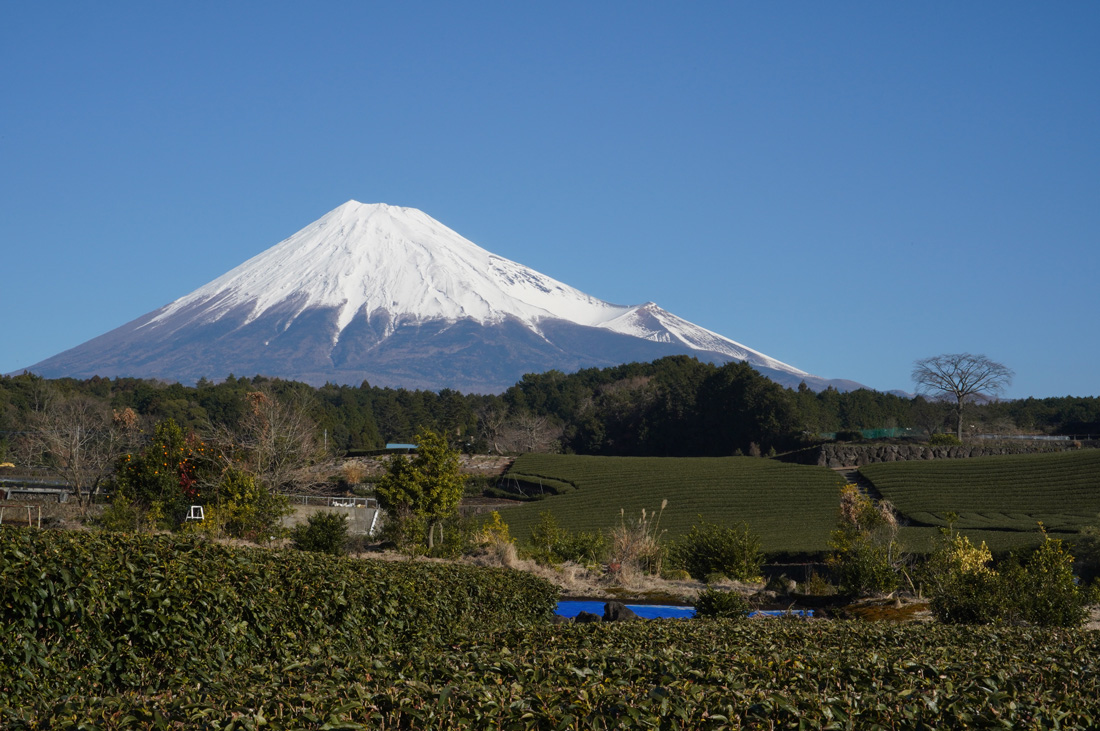 Mont Fuji : que faire autour du Fujisan ?