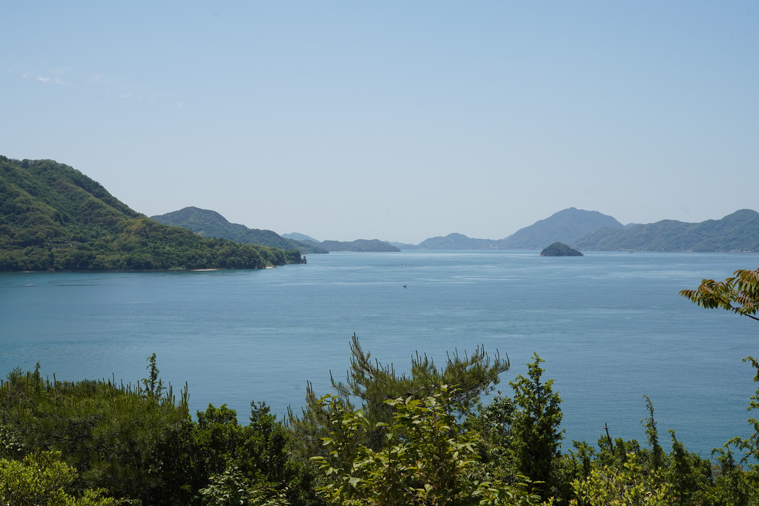 Okunoshima, l’île aux lapins du Japon : entre beauté et malaise