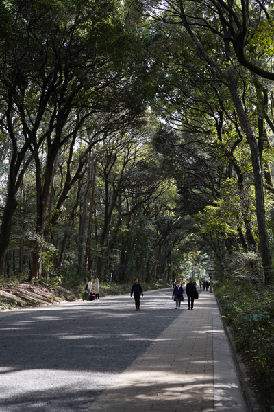 Shibuya Tokyo Yoyogi Park