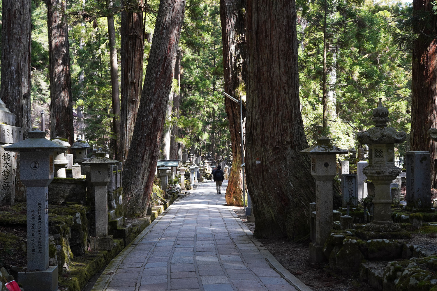 Koyasan au Japon : que faire au célèbre Mont Koya ?