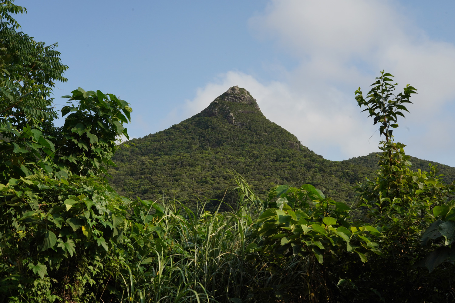 Le Mont Nosoko : petite randonnée et grande vue sur Ishigaki