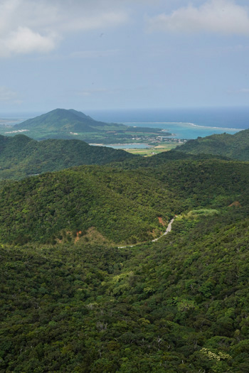 vue ishigaki