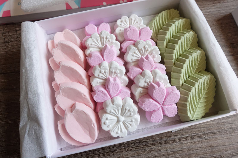 omiyage box mars 2021