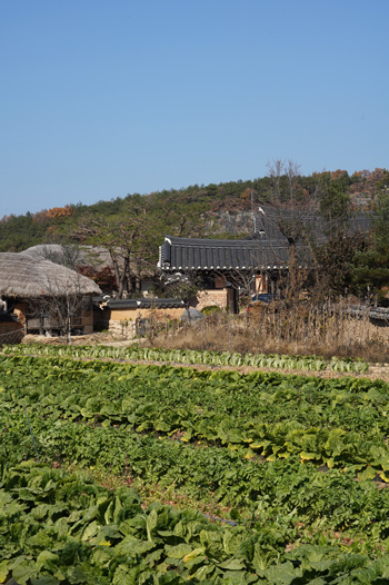 hahoe village andong